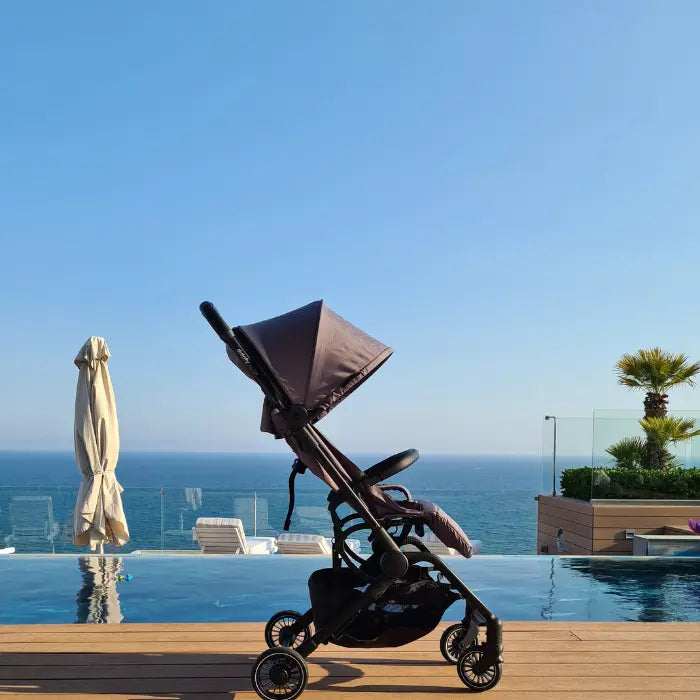 Aster holiday stroller